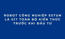 Robot công nghiệp ESTUN là gì? Toàn bộ kiến thức trước khi đầu tư